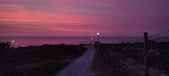 Enlarge photo 649