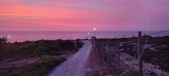 Enlarge photo 650