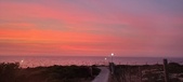 Enlarge photo 651
