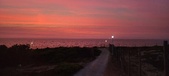 Enlarge photo 652