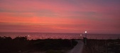 Enlarge photo 653