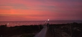 Enlarge photo 654