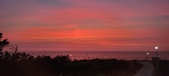 Enlarge photo 656