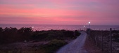 Enlarge photo 665