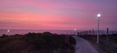 Enlarge photo 667