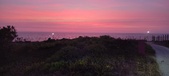 Enlarge photo 668