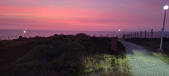 Enlarge photo 673