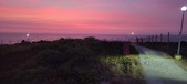Enlarge photo 674
