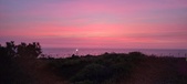 Enlarge photo 675
