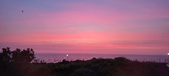 Enlarge photo 676
