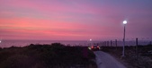 Enlarge photo 677
