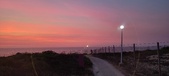 Enlarge photo 683