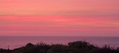 Enlarge photo 690