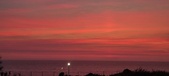 Enlarge photo 694