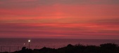 Enlarge photo 695
