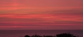 Enlarge photo 698