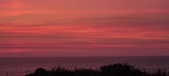 Enlarge photo 699
