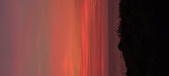 Enlarge photo 712