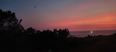 Enlarge photo 725