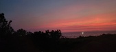 Enlarge photo 726