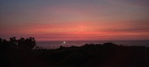 Enlarge photo 729