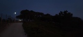 Enlarge photo 730