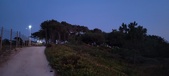 Enlarge photo 731
