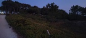 Enlarge photo 732