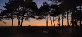Enlarge photo 53