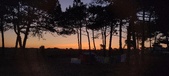 Enlarge photo 52
