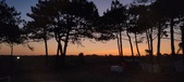 Enlarge photo 50