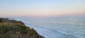 Enlarge photo 45