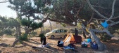 Enlarge photo 35