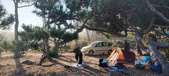 Enlarge photo 36