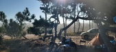 Enlarge photo 34