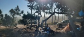 Enlarge photo 33
