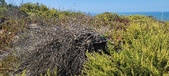 Enlarge photo 14