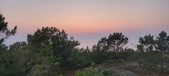 Enlarge photo 47