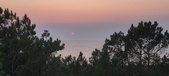Enlarge photo 48