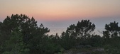 Enlarge photo 49