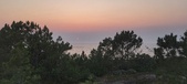 Enlarge photo 50