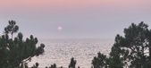 Enlarge photo 53
