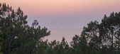 Enlarge photo 54