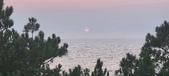 Enlarge photo 60