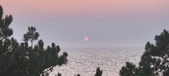 Enlarge photo 61