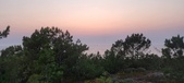 Enlarge photo 62