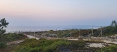 Enlarge photo 63
