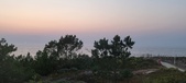 Enlarge photo 64