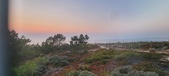 Enlarge photo 65