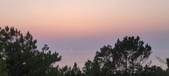Enlarge photo 66